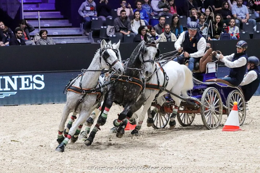 About Gallery Image 4