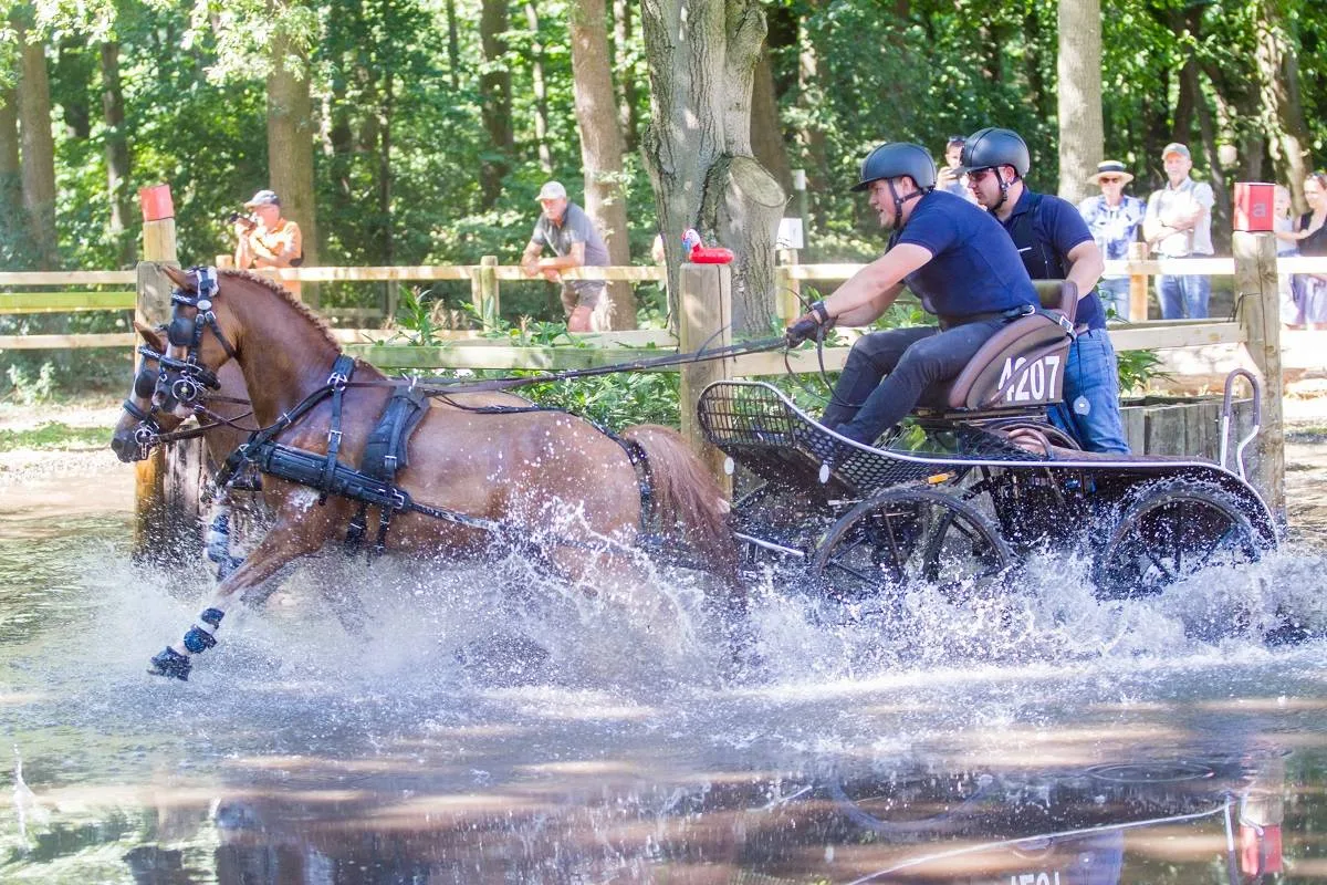 About Gallery Image 1