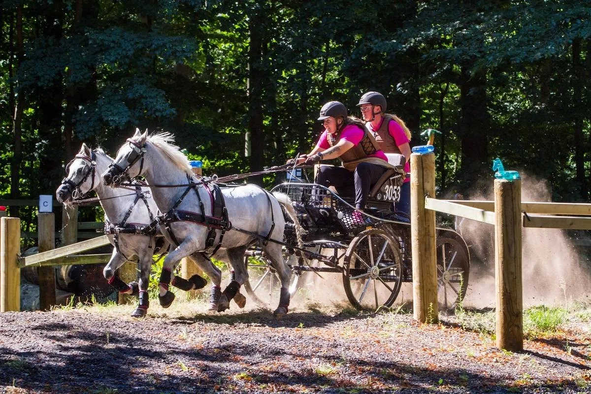 About Gallery Image 3